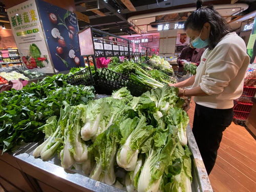 蔬菜零售均价继续上涨,湖南生活物资供应充分